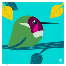Load image into Gallery viewer, Anna's Hummingbird 4x4 Limited Edition Print