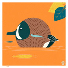 Load image into Gallery viewer, Blue Wing Teal 4x4 Limited Edition Print