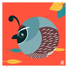 Load image into Gallery viewer, California Quail 4x4 Limited Edition Print