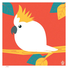 Load image into Gallery viewer, Sulfur Crested Cockatoo 4x4 Limited Edition Print