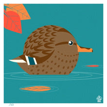 Load image into Gallery viewer, Mallard Female 4x4 Limited Edition Print