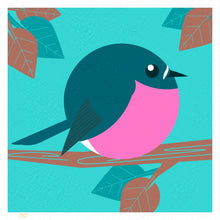 Load image into Gallery viewer, Australian Robin 4x4 Limited Edition Print