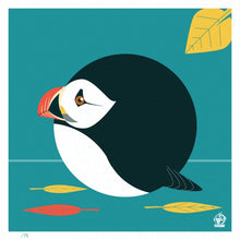 Load image into Gallery viewer, Atlantic Puffin 4x4 Limited Edition Print