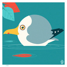 Load image into Gallery viewer, Western Gull 4x4 Limited Edition Print