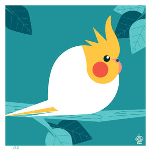 Lutino Cockatiel BORB 4x4 Limited Edition Print