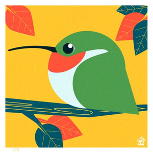 Ruby Throated Hummingbird 4x4 Limited Edition Print