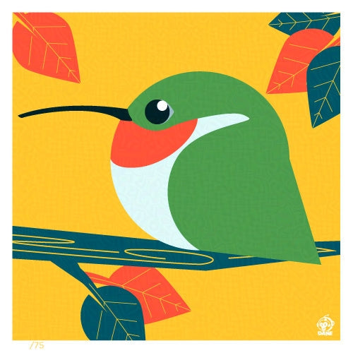 Ruby Throated Hummingbird 4x4 Limited Edition Print