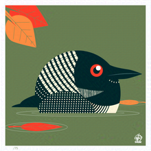 Load image into Gallery viewer, Common Loon 4x4 Limited Edition Print
