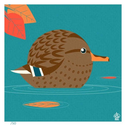 Mallard Female 4x4 Limited Edition Print