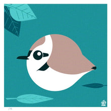 Load image into Gallery viewer, Snowy Plover 4x4 Limited Edition Print
