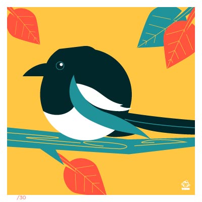 Magpie 4x4 Limited Edition Print