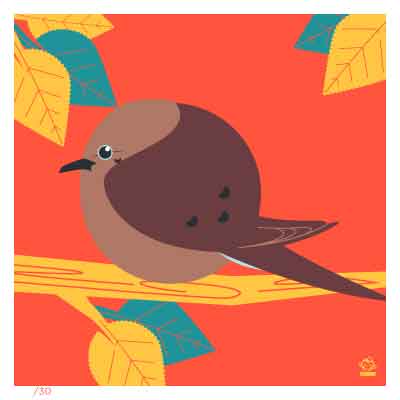 BORBS Mourning Dove 4x4 Limited Edition art print