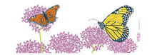 Load image into Gallery viewer, WILD Monarch Butterfly Coffee or Tea Mug
