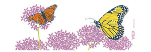 WILD Monarch Butterfly Coffee or Tea Mug