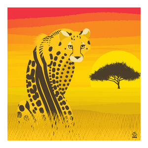 King Cheetah 10x10 Giclee Print