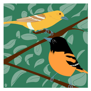 Backyard Orioles 10x10 Giclee Limited Edition Print