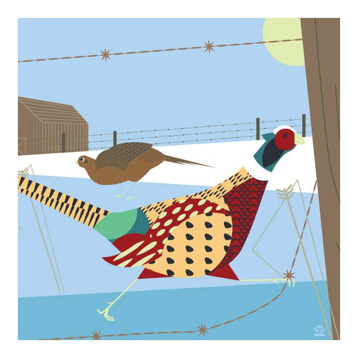 Midwest Morning Pheasants 10x10 Giclee Print