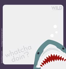Wild Shark Whatcha Doin? 3x3 Sticky Post-It Notes