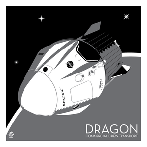SpaceX Crew Dragon Capsule - 10x10 Giclee Print